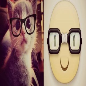 Meet your Posher, Ernesto